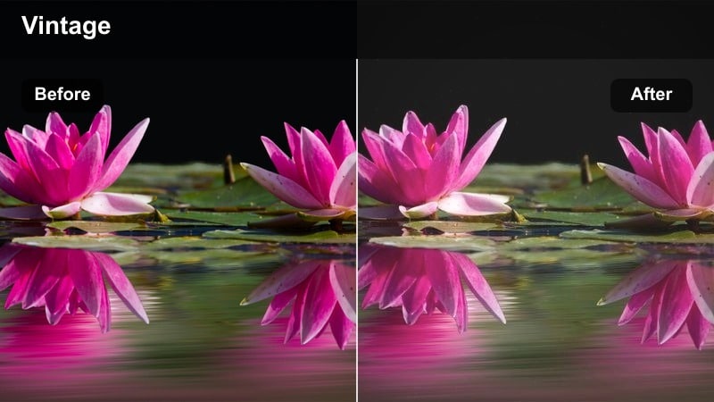 Cinematic shot of coffee beans stored in wooden barrels with rich mahogany tones