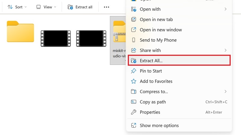 extract the downloaded file