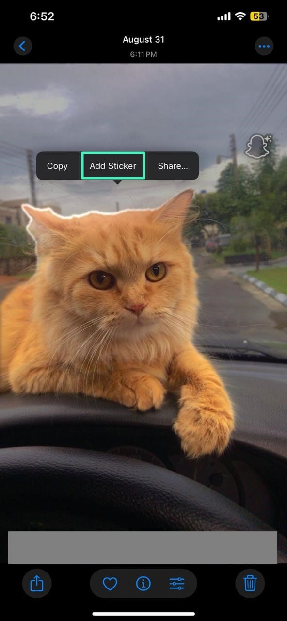 using the iPhone Add Sticker option to turn a photo into a sticker