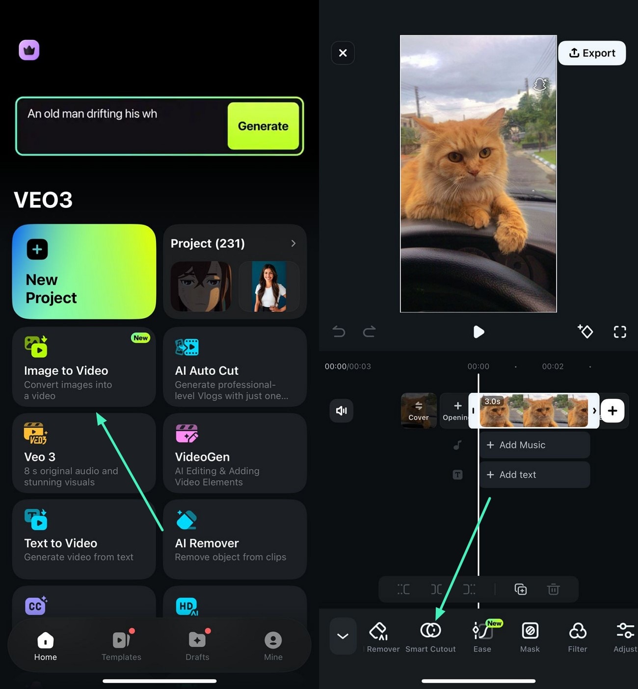 selecting Smart Cutout in Filmora App to make a picture into a sticker