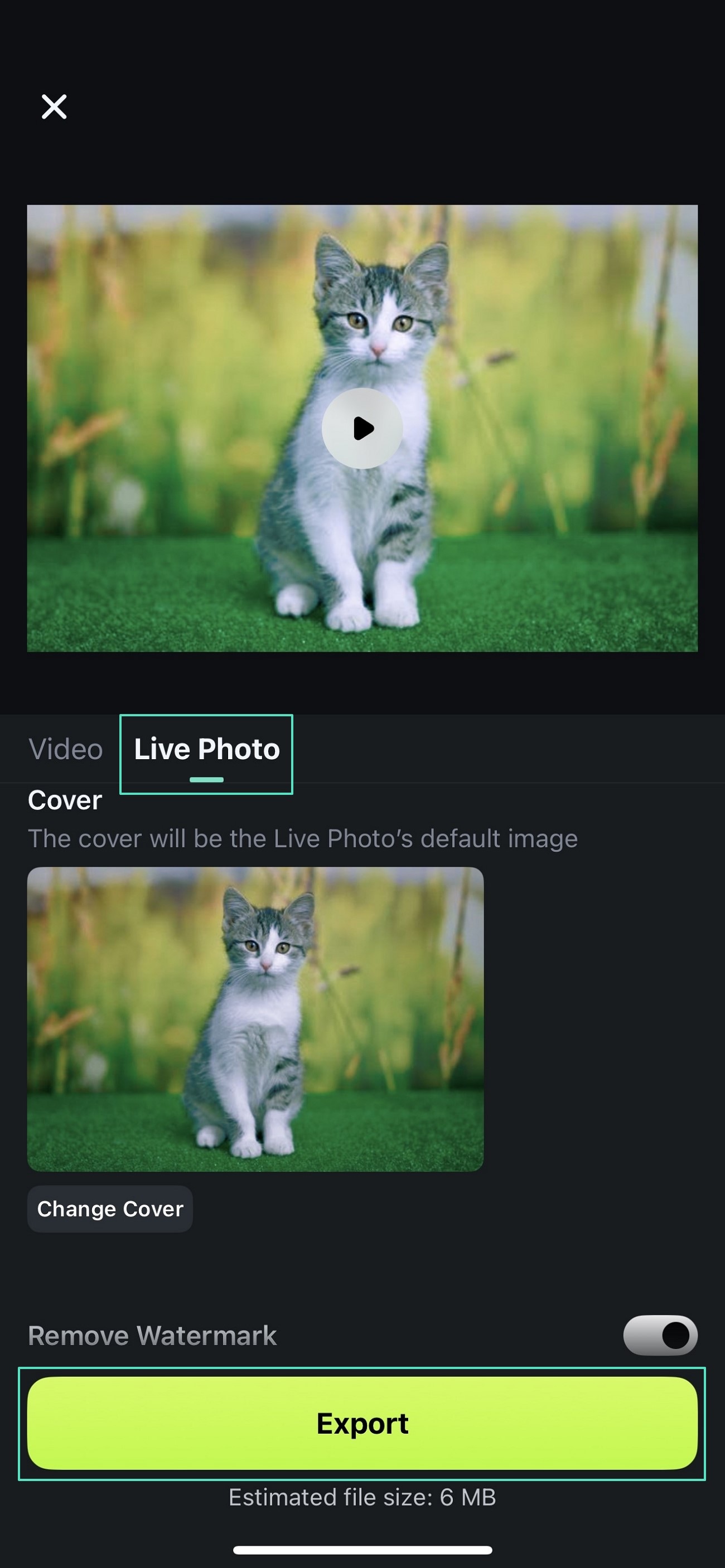 export live photo filmora ios