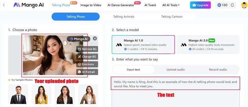 upload photo and type prompt