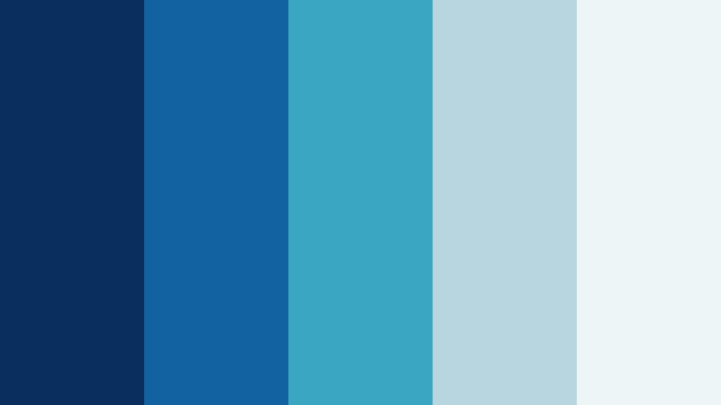 market momentum blue and silver financial advisor color color palette with hex codes