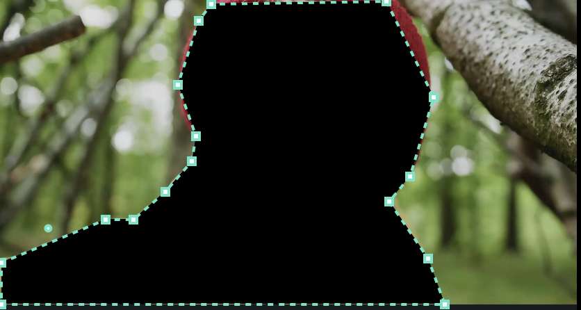 inverted mask effect