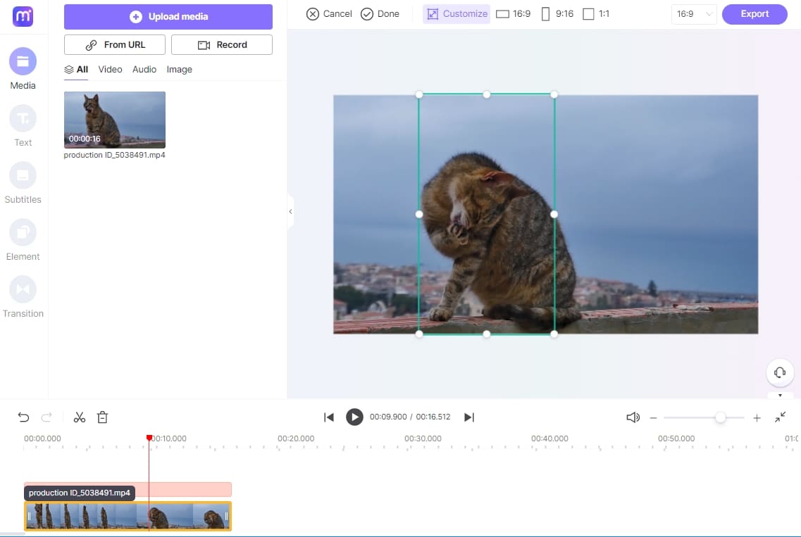 Media.io 在線視頻編輯器使用剪裁工具調整視頻大小