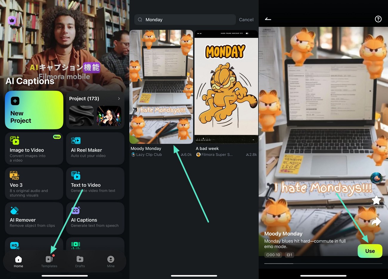 access filmora app template