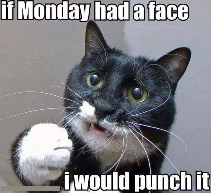 if monday had face