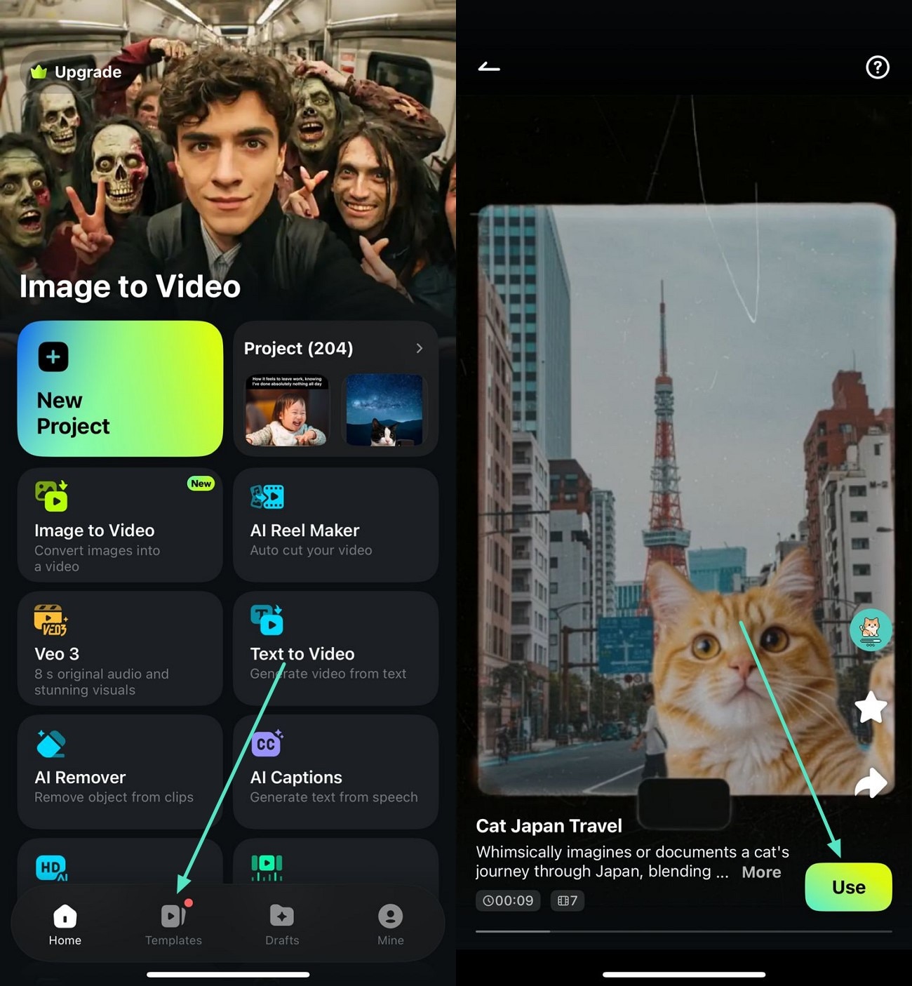 access filmora app templates