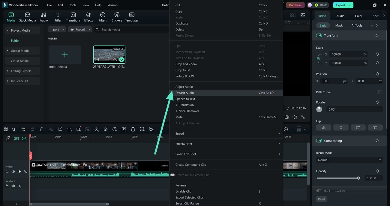 detach audio file from video