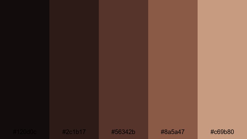 midnight cocoa noir chocolate color palette with hex codes