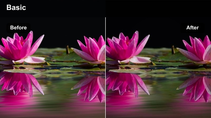 Crowded city crosswalk at night with bright blue and purple neon lights.