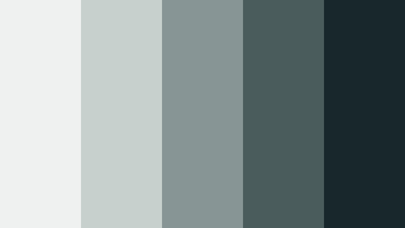 midnight outline minimalist color color palette with hex codes