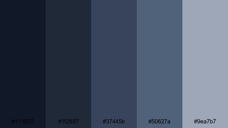 midnight rail denim denim color palette with hex codes