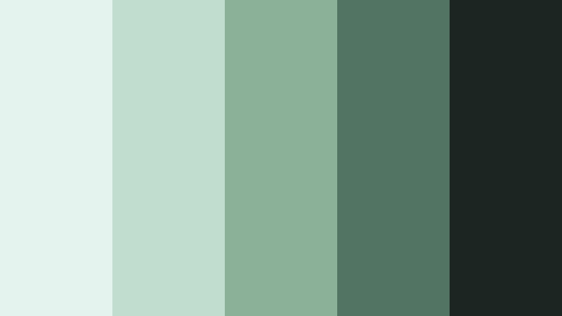 midnight studio sage mint sage color palette with hex codes