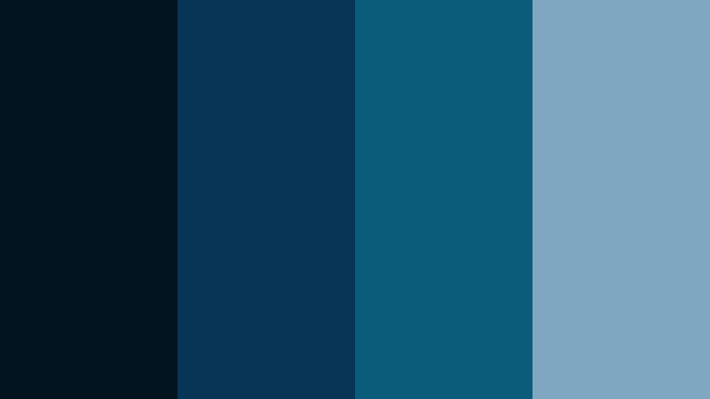 midnight swell drama stormy ocean color palette with hex codes
