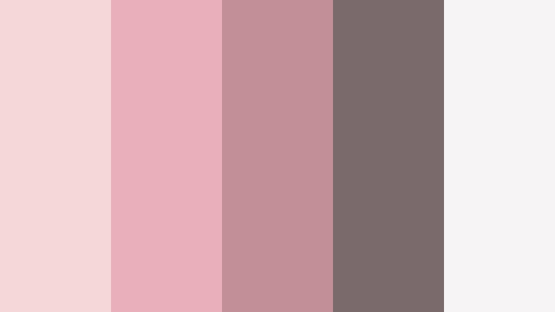 minimal blush studio warm blush color palette with hex codes