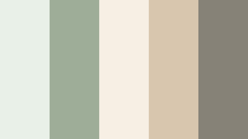 minimal desk flatlay sage green and beige cafe color color palette with hex codes