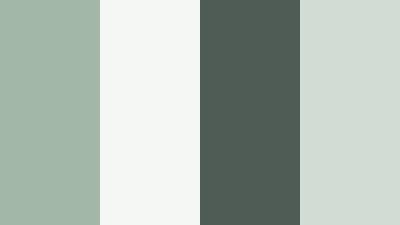 minimal evergreen edit eucalyptus mist color palette with hex codes