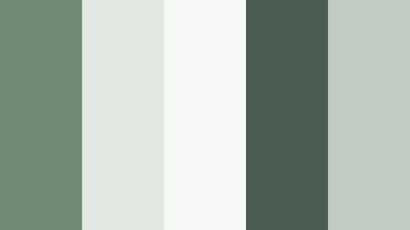 minimal studio fern muted fern color palette with hex codes