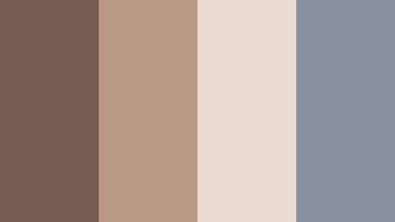 mist over canyon muddy taupe color palette with hex codes