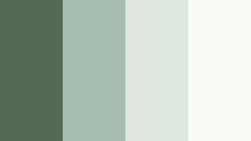 misted fern daydream woodland fern color palette with hex codes