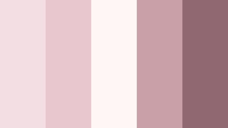 misty rosewater calm color palette color palette with hex codes
