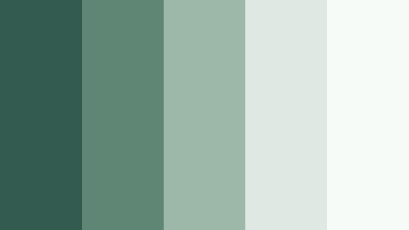 misty valley morning moss jade color palette with hex codes