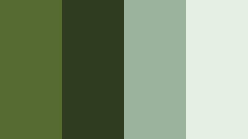 misty woodland morning dark moss green color palette with hex codes