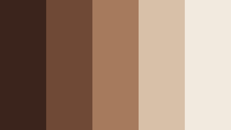 mocha leather luxe fashion video color color palette with hex codes