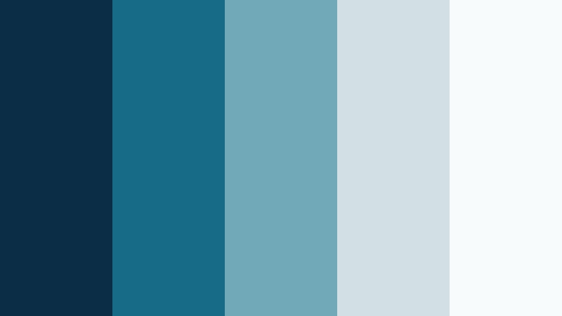 modern assurance blue and silver financial advisor color color palette with hex codes
