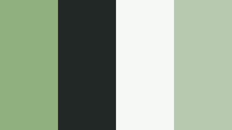 modern eco brand soft fern green color palette with hex codes