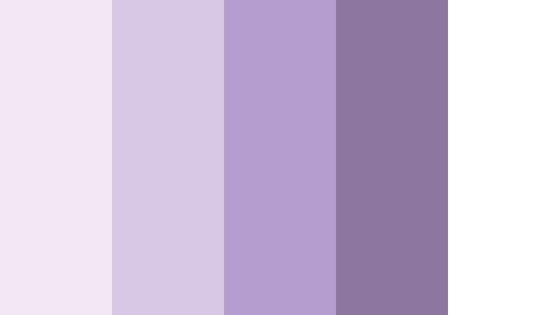 modern mauve minimal blush lavender color palette with hex codes