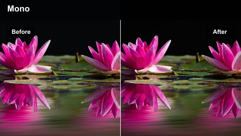 Black-and-white cinematic filter on a dramatic close-up of a face half in shadow.