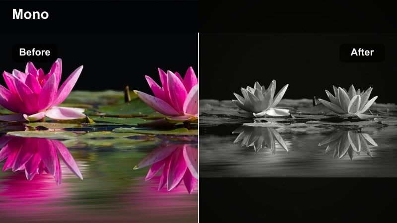 Black and white close-up of a couple embracing