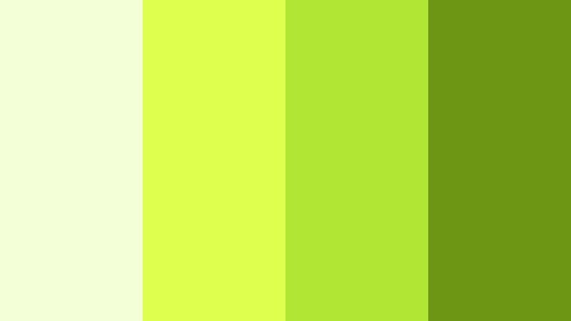 monochrome lime focus vibrant lime color palette with hex codes
