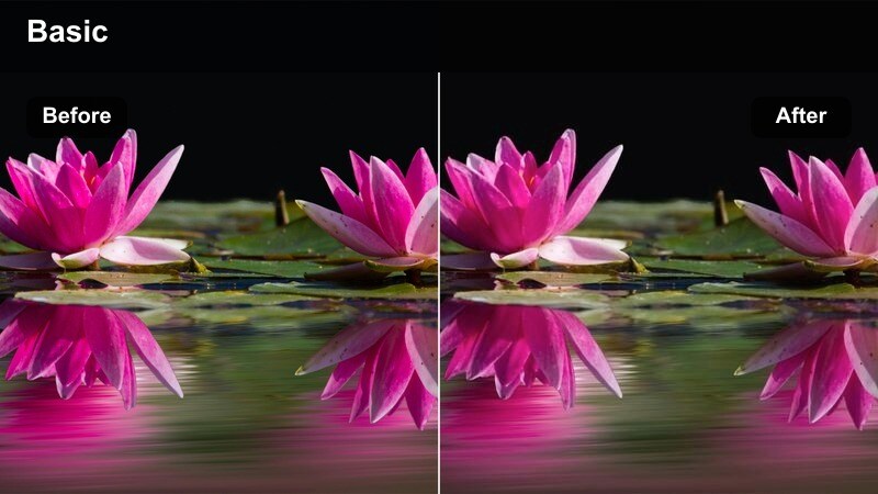 Close-up of a monochrome fashion outfit with bold color standing out from background