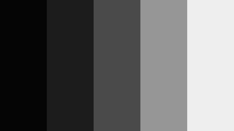 monochrome motion black friday color color palette with hex codes
