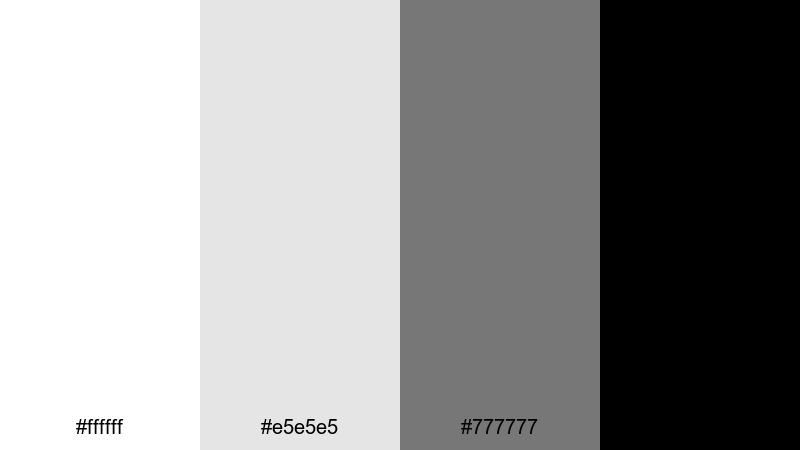 monochrome spotlight edge white color palette with hex codes
