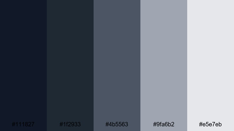 monochrome studio focus professional color palette with hex codes