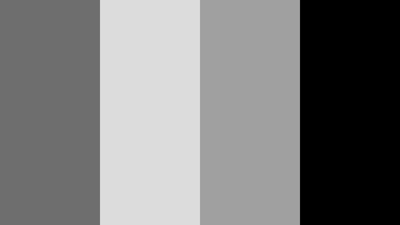 monochrome studio focus stone gray color palette with hex codes