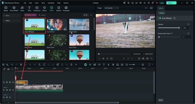 add filters filmora