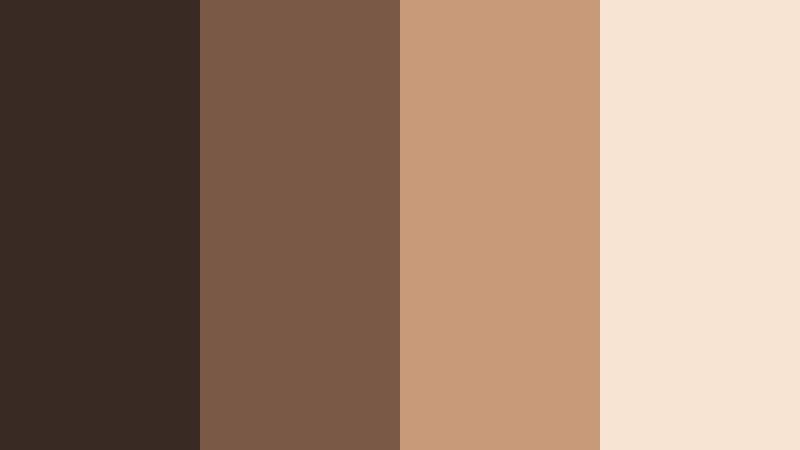 morning latte light lens shadow brown color palette with hex codes