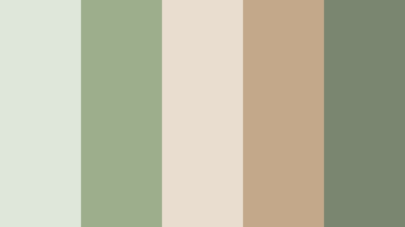 morning matcha latte glow sage green and beige cafe color color palette with hex codes