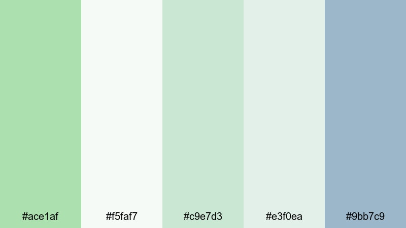 morning mist workspace celadon color palette with hex codes