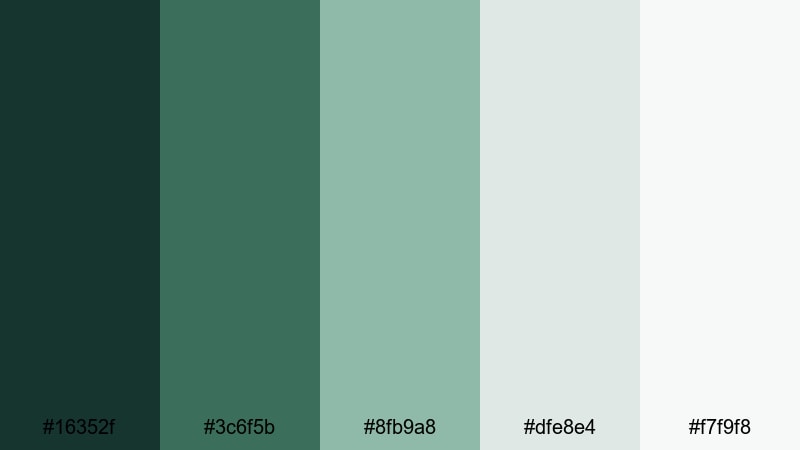 morning pine mist forest color palette with hex codes