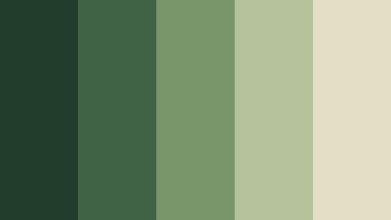 moss morning forest color palette color palette with hex codes