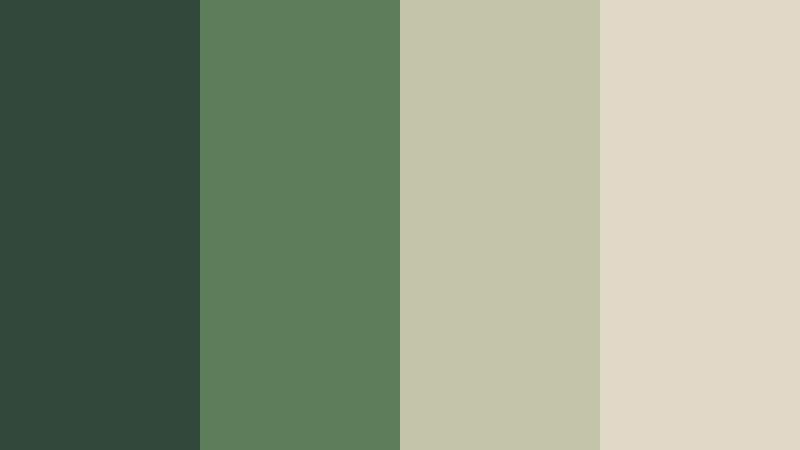 moss trail morning dusty forest green color palette with hex codes