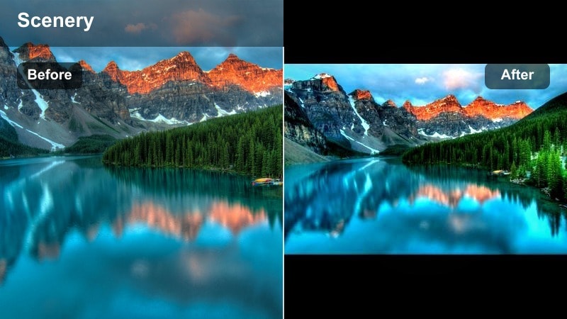 Soft moss covered rocks with a filmic muted green look