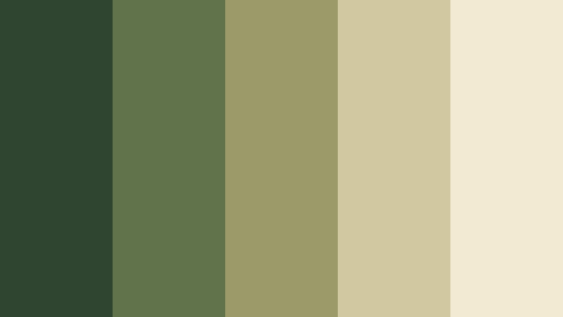 mossy forest calm nature color palette color palette with hex codes