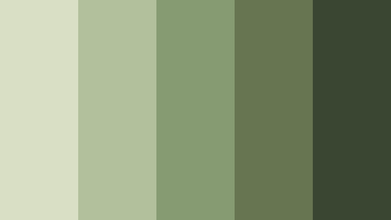mossy morning calm color palette color palette with hex codes